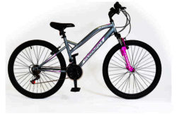 Muddyfox Serenity 26 Inch Mountain Bike - Ladies